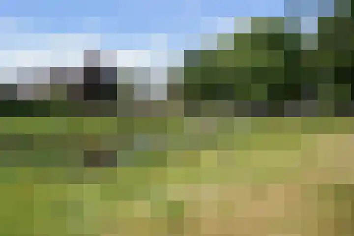 Beeklaan 82 Tilburg thumbnail 29