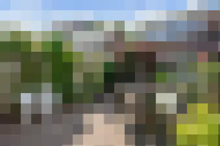 Beeklaan 82 Tilburg thumbnail 4