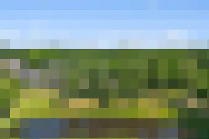 Beeklaan 82 Tilburg thumbnail 5