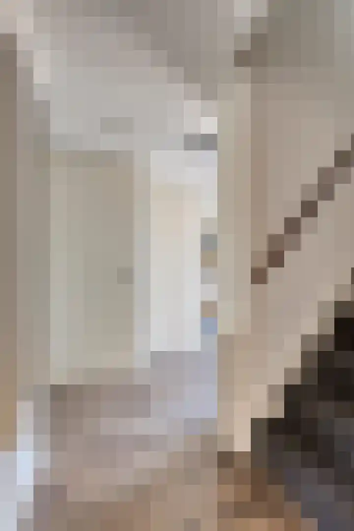 Beekland 9 Roden thumbnail 10