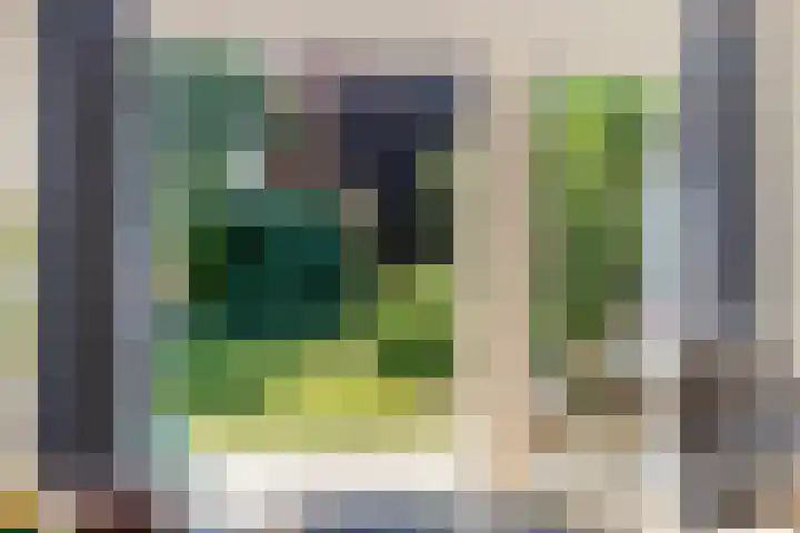 Beekland 9 Roden thumbnail 13
