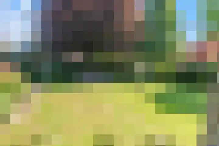 Beekland 9 Roden thumbnail 14