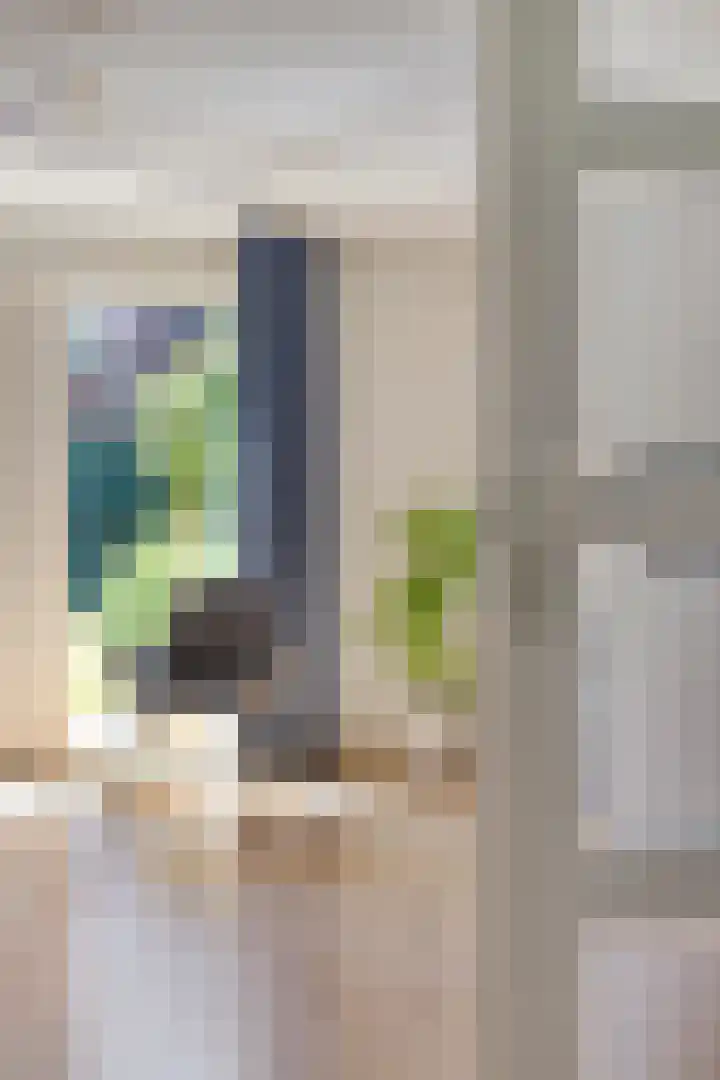 Beekland 9 Roden thumbnail 19