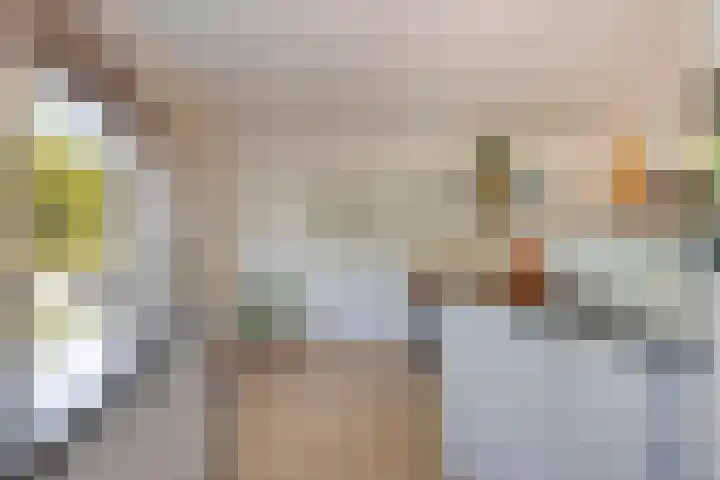 Beekland 9 Roden thumbnail 21