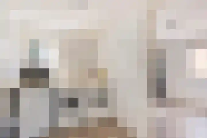 Beekland 9 Roden thumbnail 25