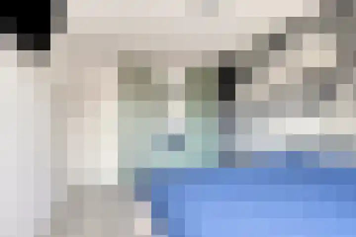 Beekland 9 Roden thumbnail 28