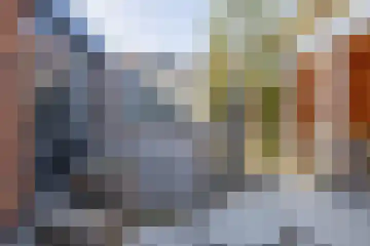 Beekland 9 Roden thumbnail 31