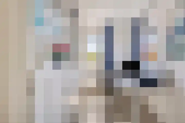 Beekland 9 Roden thumbnail 33