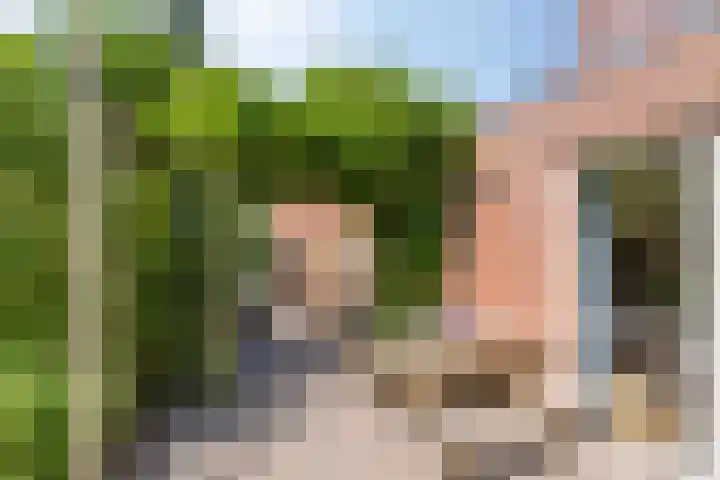 Beekland 9 Roden thumbnail 38