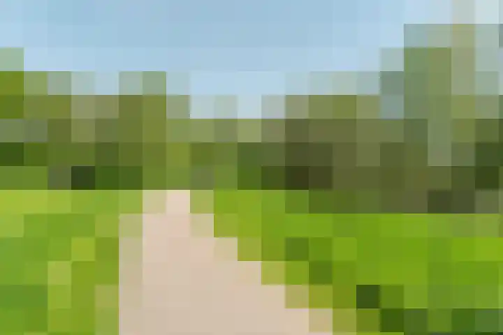 Beekland 9 Roden thumbnail 4