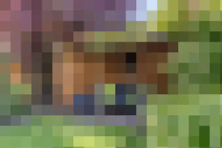 Beekland 9 Roden thumbnail 40