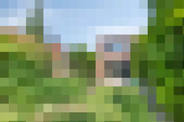 Beekland 9 Roden thumbnail 41