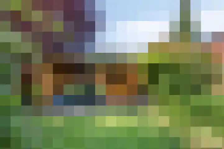 Beekland 9 Roden thumbnail 42