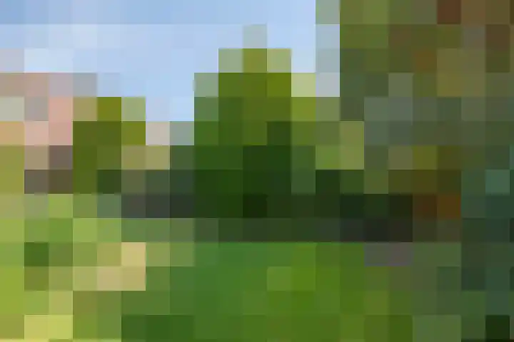 Beekland 9 Roden thumbnail 43