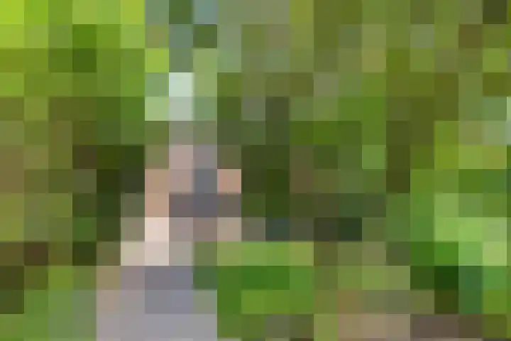 Beekland 9 Roden thumbnail 44