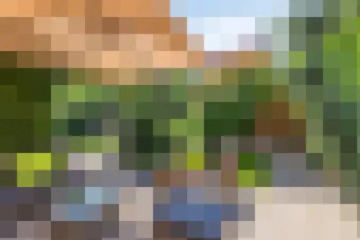 Beekland 9 Roden thumbnail 46