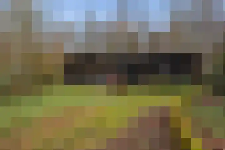 Beekland 9 Roden thumbnail 47