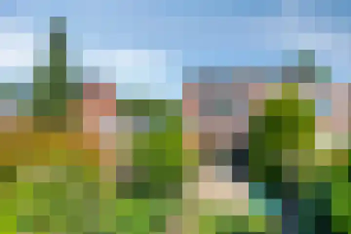 Beekland 9 Roden thumbnail 49