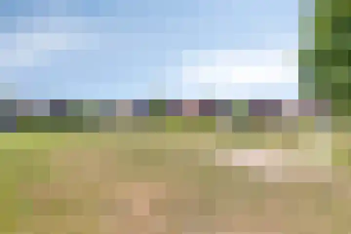 Beekland 9 Roden thumbnail 50