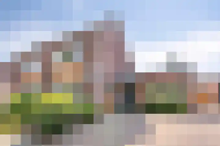 Beekland 9 Roden thumbnail 55