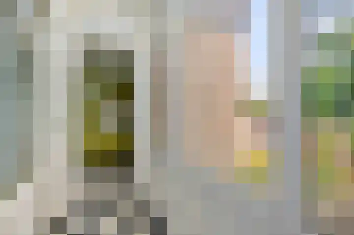 Beekland 9 Roden thumbnail 9