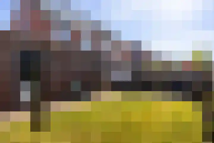 Beekpunge 111 Schoonebeek thumbnail 10