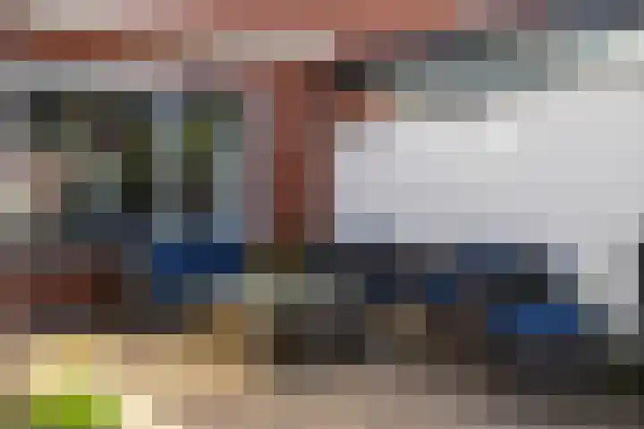 Beekpunge 111 Schoonebeek thumbnail 11