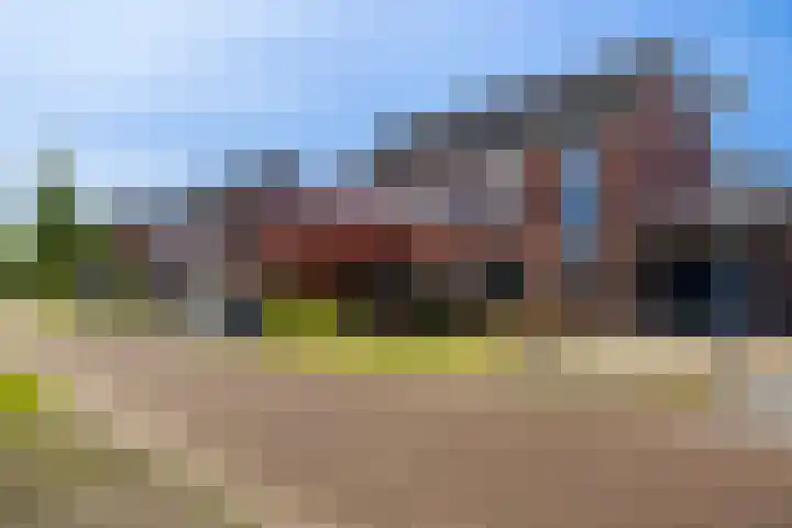 Beekpunge 111 Schoonebeek thumbnail 14