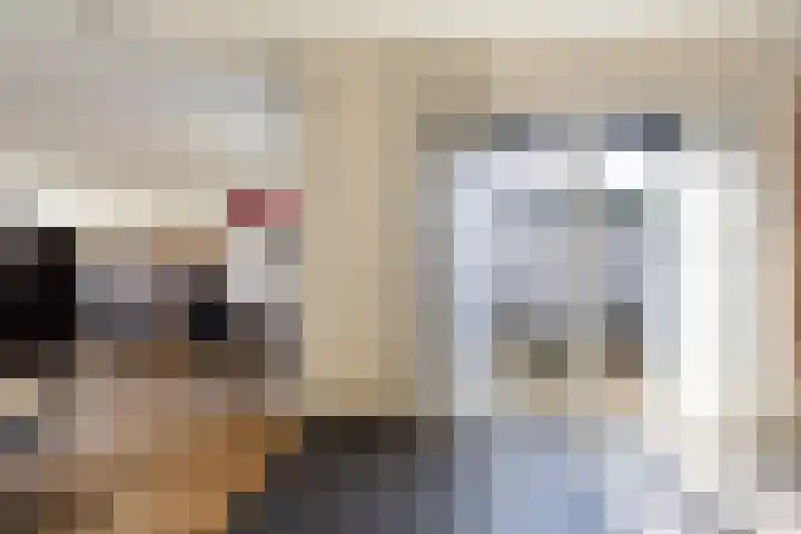 Beekpunge 111 Schoonebeek thumbnail 20