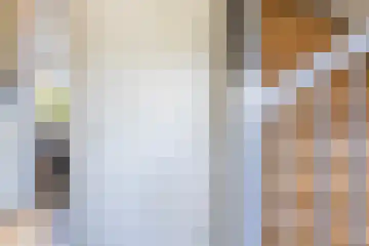 Beekpunge 111 Schoonebeek thumbnail 25