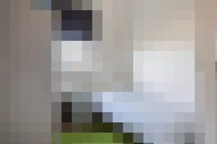 Beekpunge 111 Schoonebeek thumbnail 31