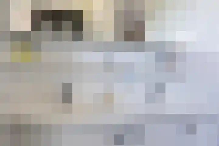 Beekpunge 111 Schoonebeek thumbnail 33