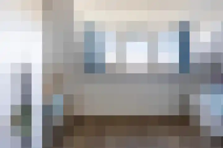 Beekpunge 111 Schoonebeek thumbnail 37