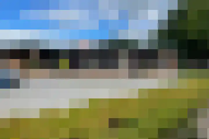 Beekpunge 111 Schoonebeek thumbnail 43