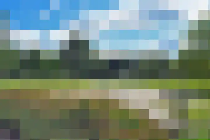 Beekpunge 111 Schoonebeek thumbnail 45