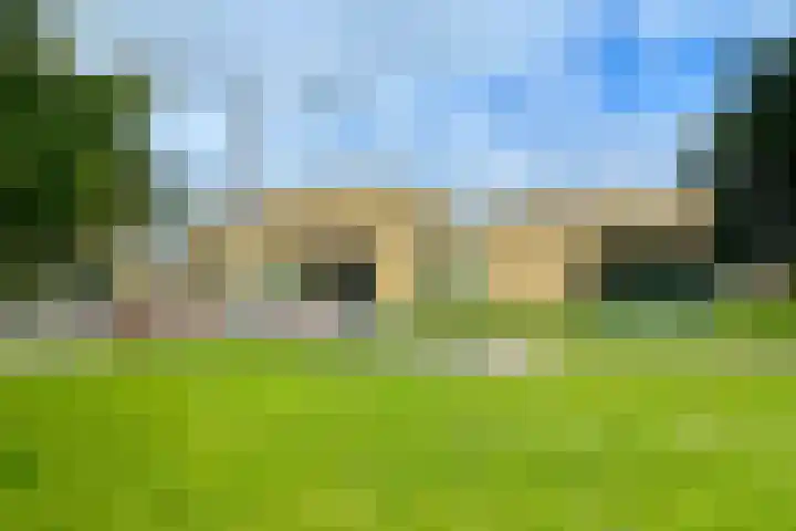 Beekpunge 111 Schoonebeek thumbnail 46