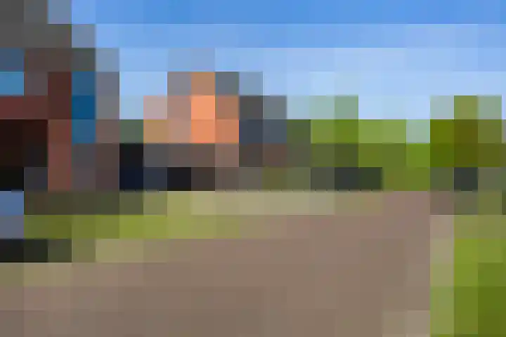 Beekpunge 111 Schoonebeek thumbnail 6
