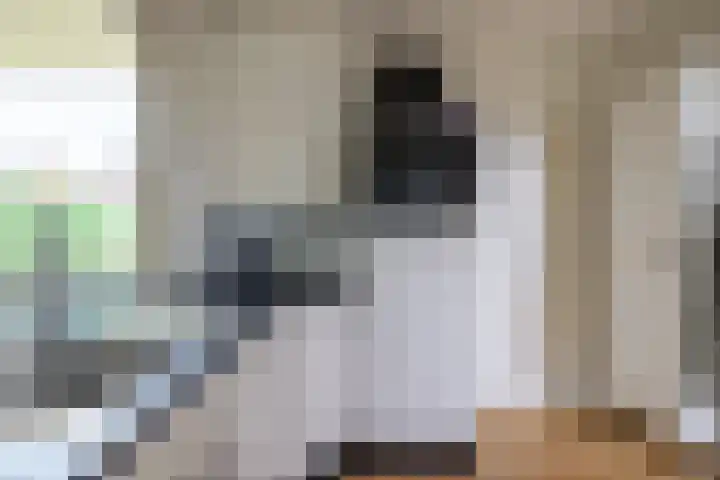 Beekseweg 15 Wehl thumbnail 12