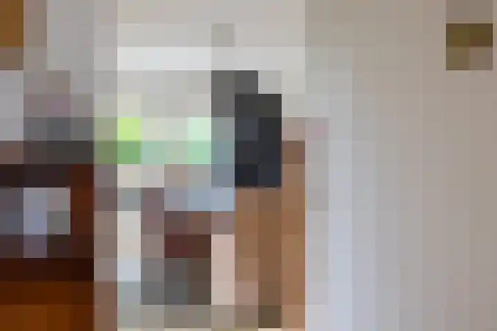 Beekseweg 15 Wehl thumbnail 15