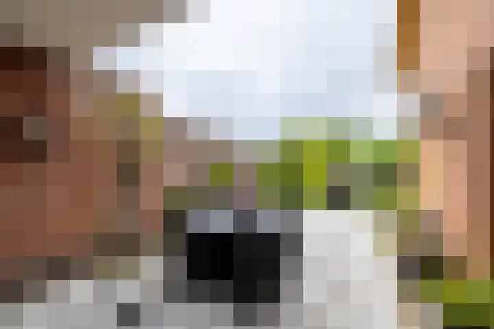 Beekseweg 15 Wehl thumbnail 19