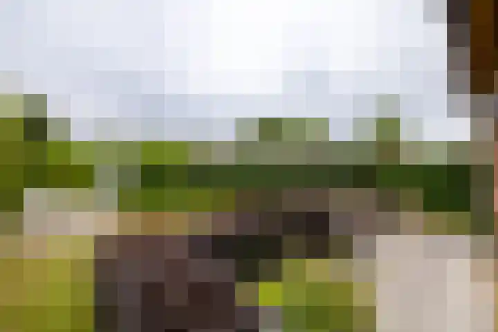 Beekseweg 15 Wehl thumbnail 23