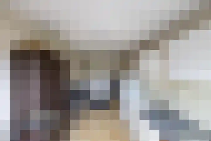 Beekseweg 15 Wehl thumbnail 29