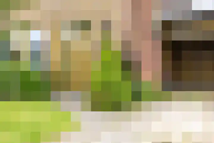 Beekseweg 15 Wehl thumbnail 30