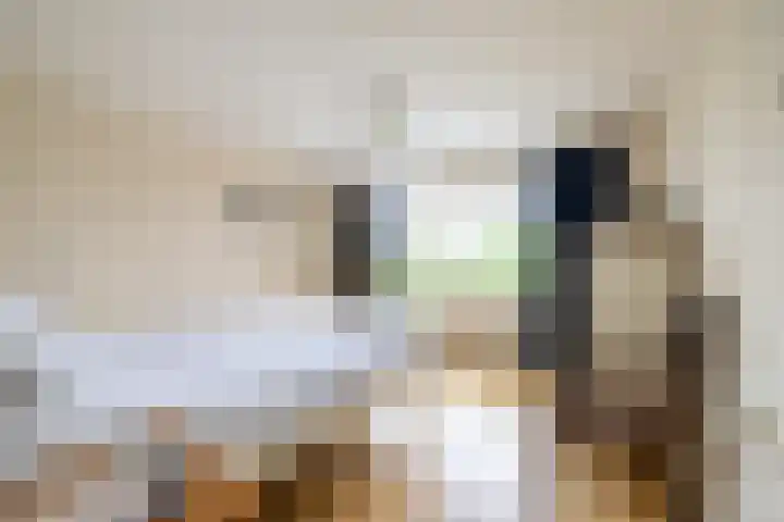 Beekseweg 15 Wehl thumbnail 35