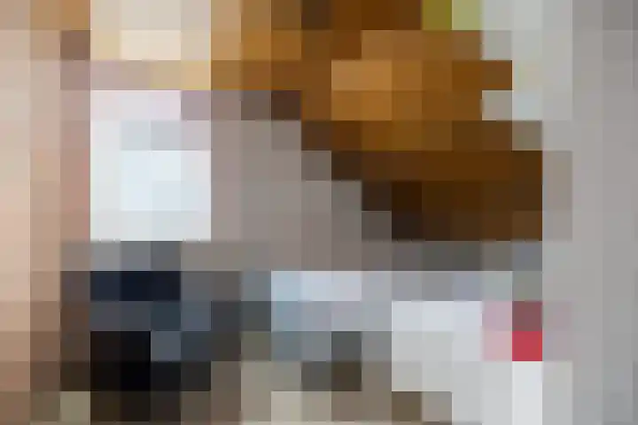 Beekseweg 15 Wehl thumbnail 44