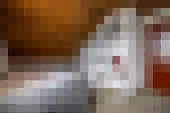 Beekseweg 15 Wehl thumbnail 45
