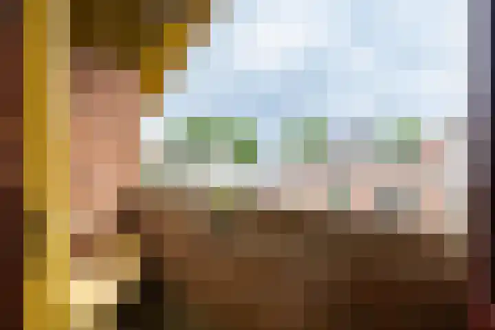 Beekseweg 15 Wehl thumbnail 47