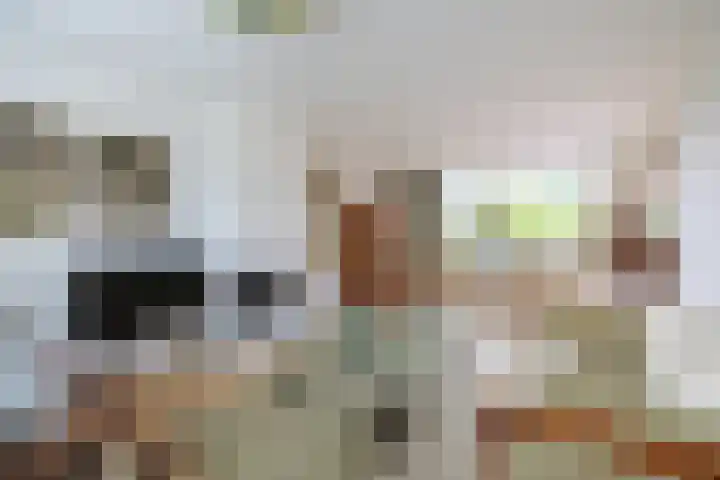 Beekseweg 15 Wehl thumbnail 5