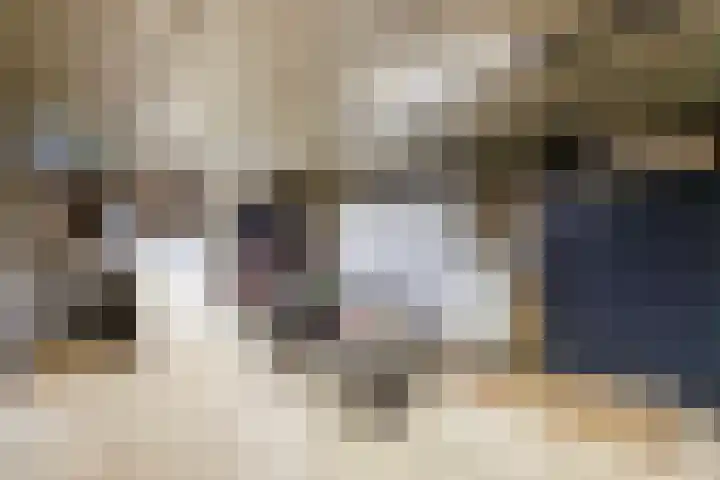 Beekseweg 3 Wehl thumbnail 17