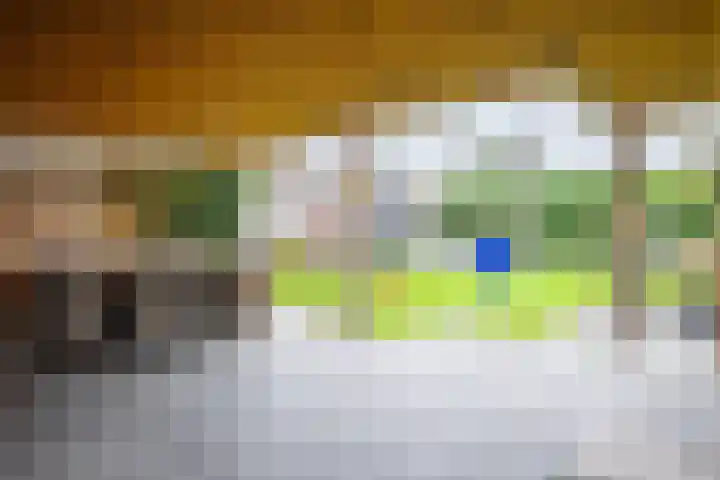 Beekseweg 3 Wehl thumbnail 20